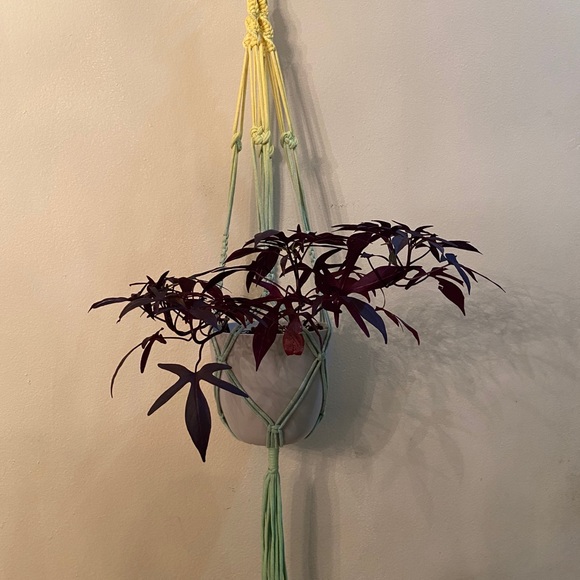 Hand Crafted Other - Macrame Plant Hanger Yellow/Green Ombre